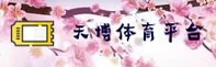 使用指南与常见问题